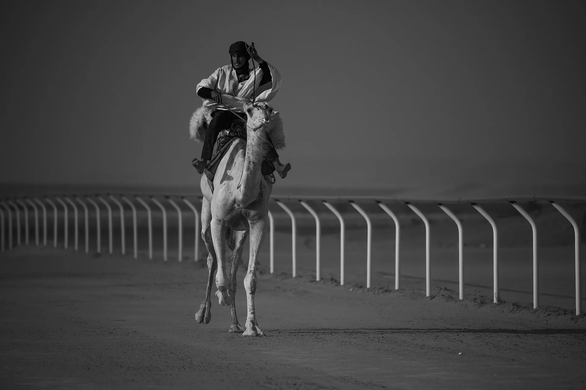 A rider in white robes racing a camel along the track at the Tan-Tan Moussem