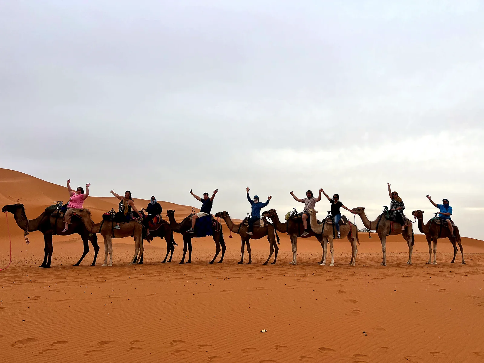 A line of travellers on camels with arms raised, crossing the Sahara dunes under a pale sky