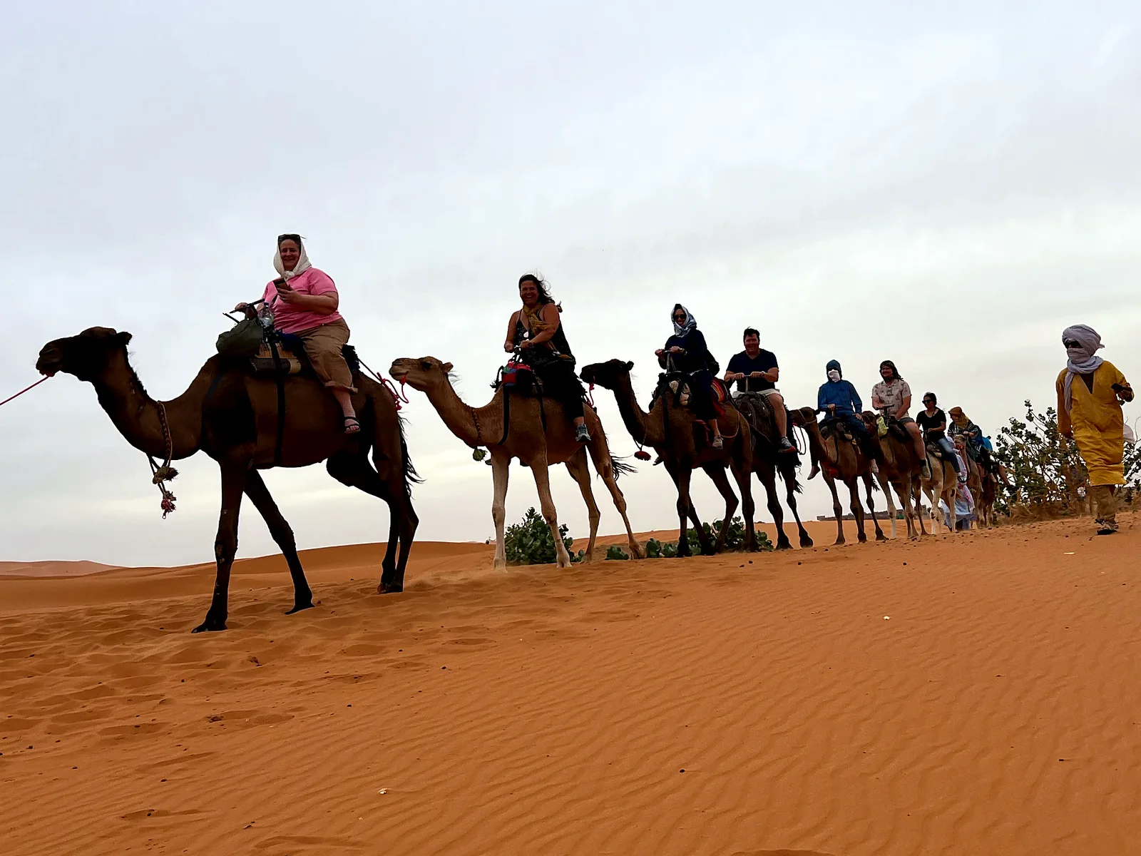 Travellers riding a line of camels across orange Sahara dunes with a local guide walking beside them