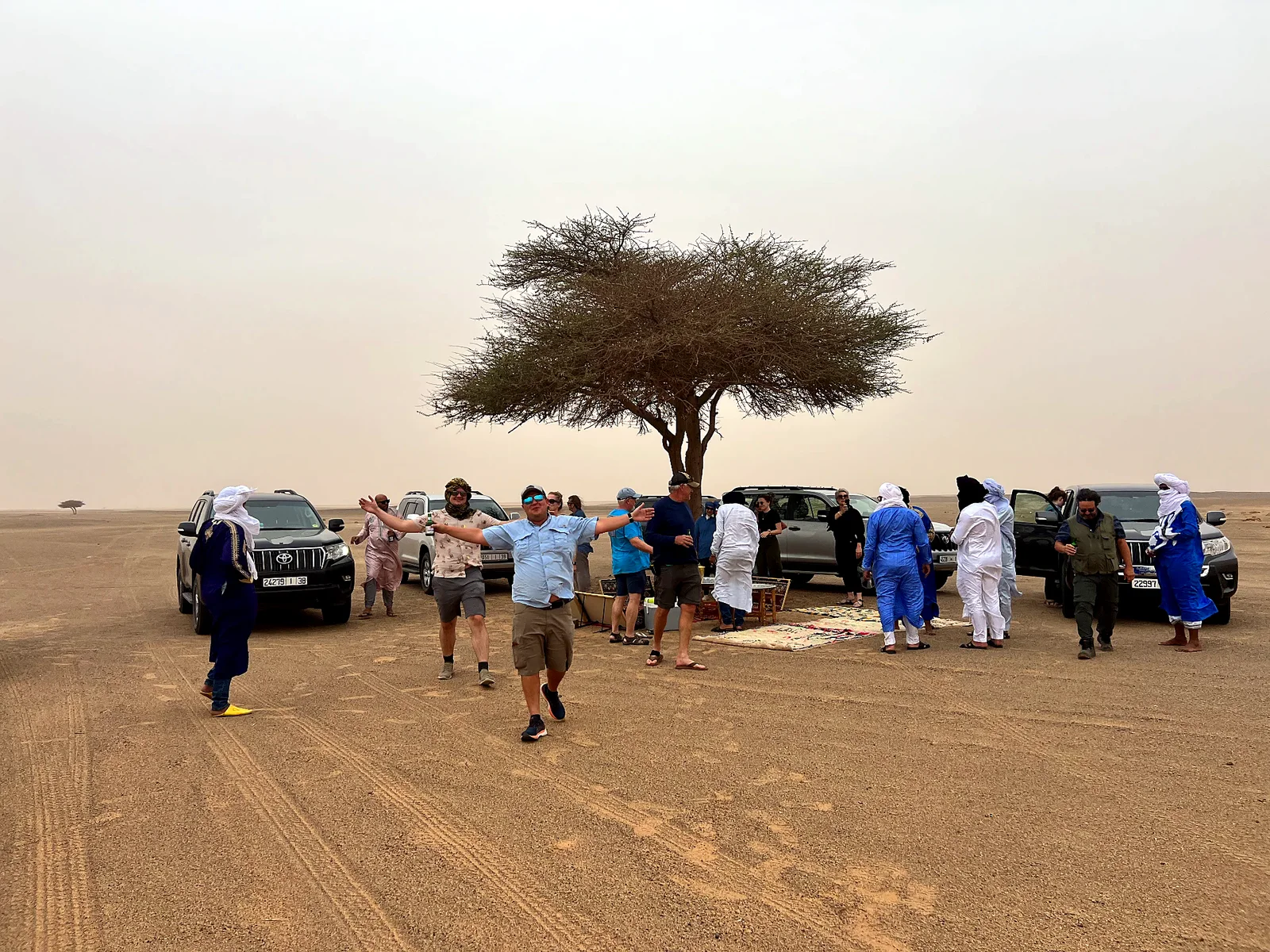 Two private Toyota Land Cruisers and other vehicles parked beside an acacia tree on a desert plain, with travellers and local hosts in front