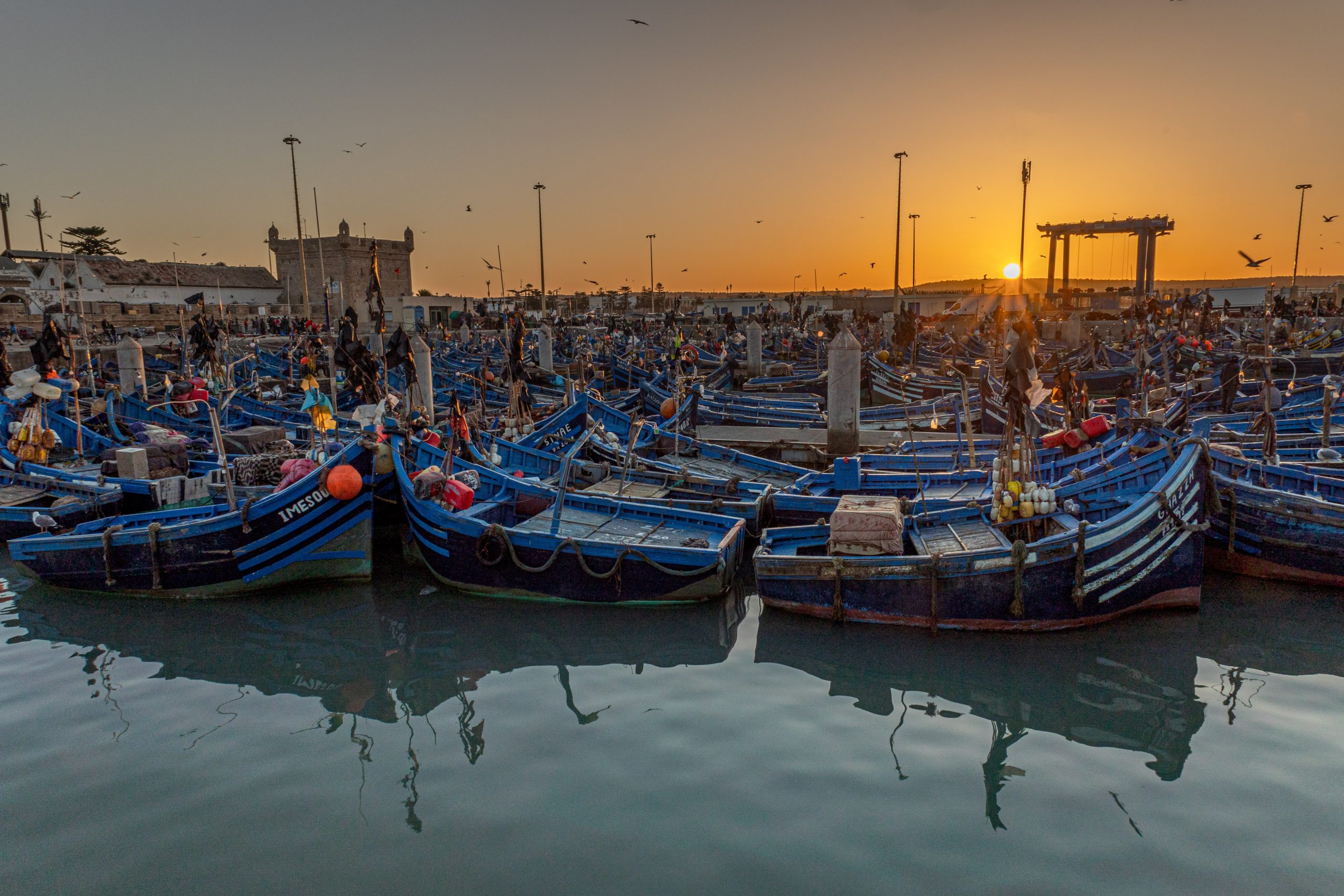 Coastal journeys — Morocco Shiny Days private journeys