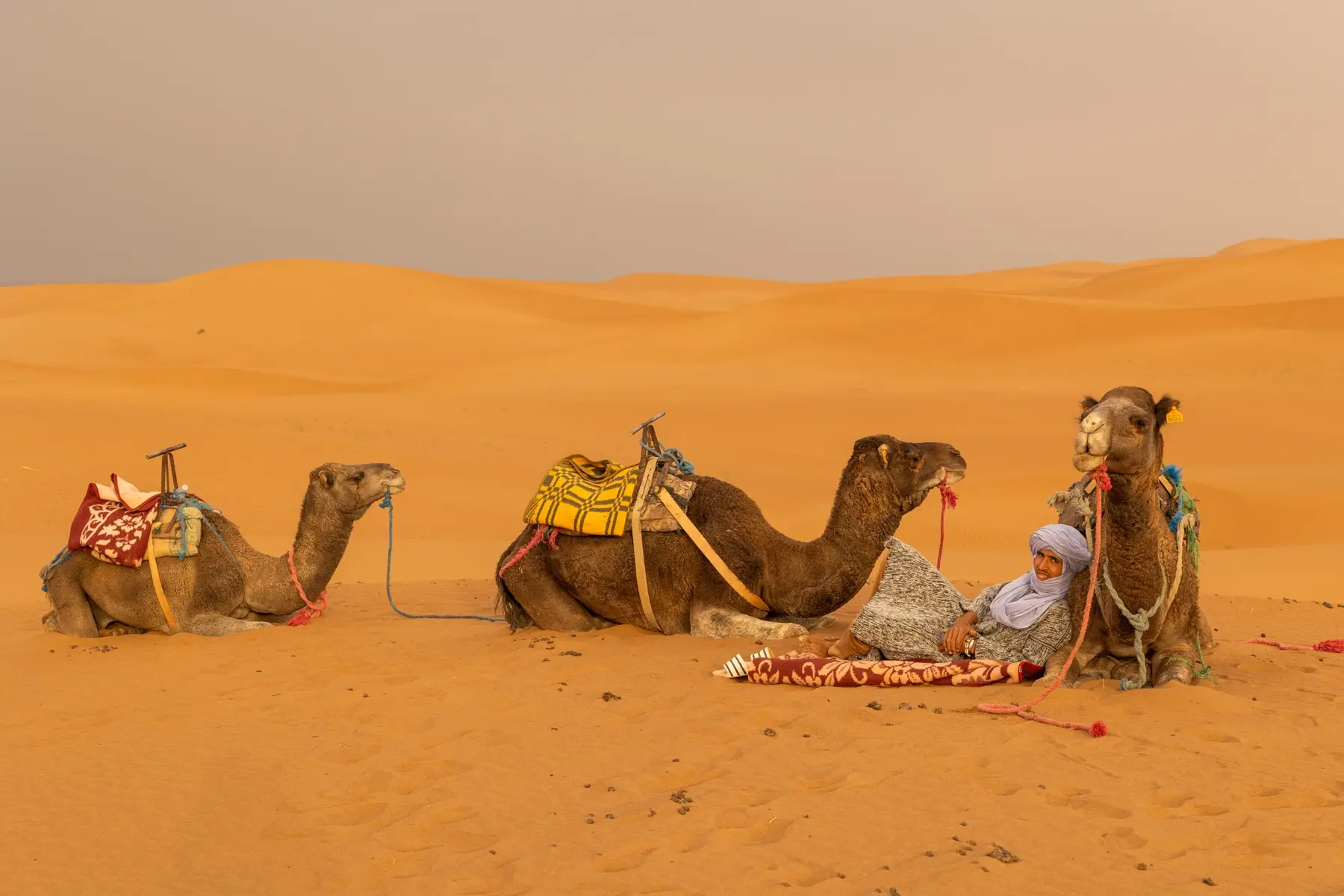 Marrakech to Fes via Erg Chebbi — Morocco Shiny Days private journeys