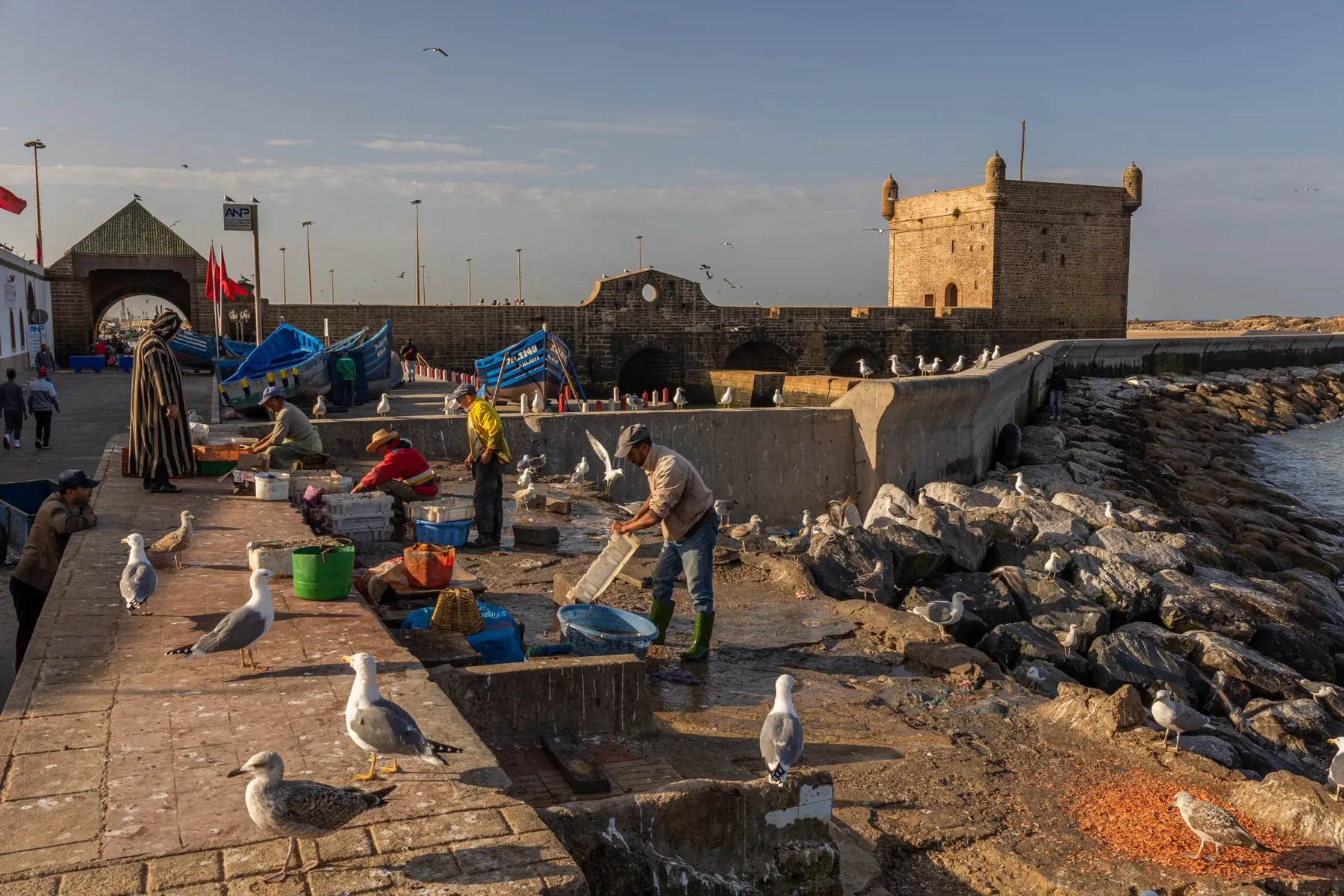 Northern Morocco Coastal Tour — Morocco Shiny Days private journeys