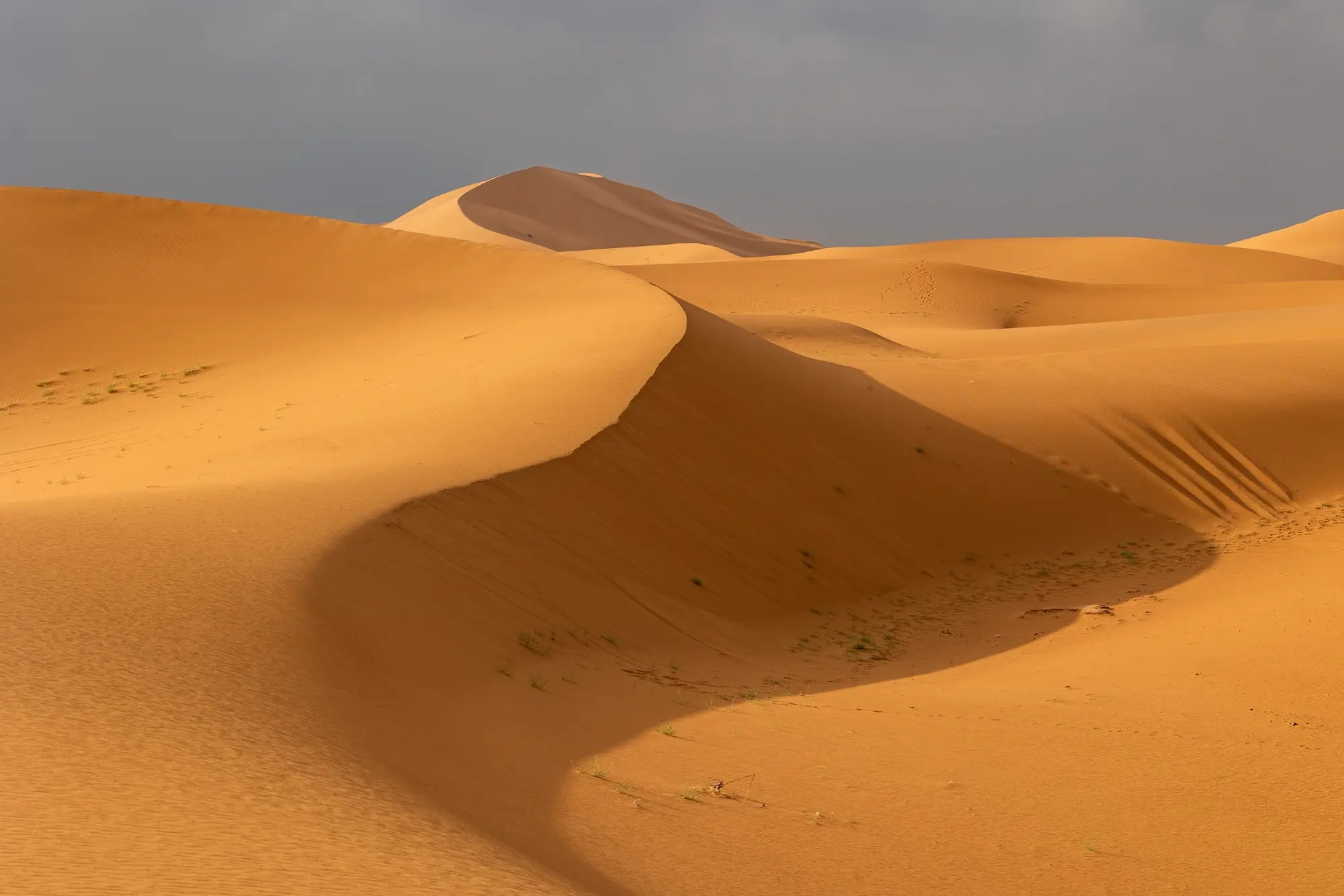Sahara journeys — Morocco Shiny Days private journeys