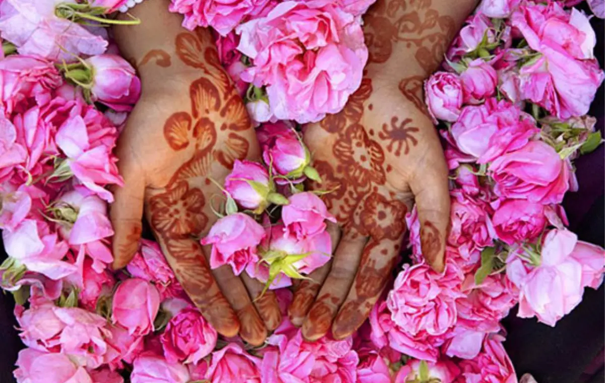 Henna-decorated hands resting among fragrant pink roses