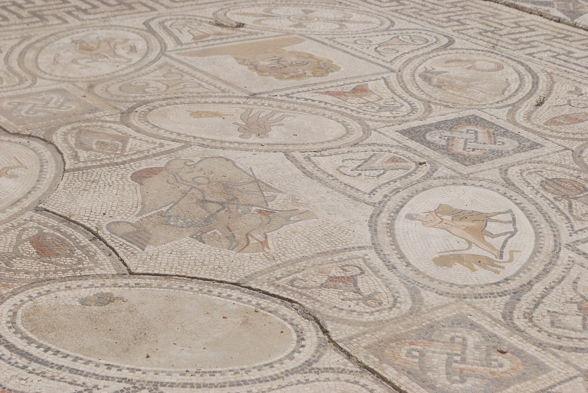 Partially restored Roman mosaic floor in one of the townhouses at Volubilis, Morocco