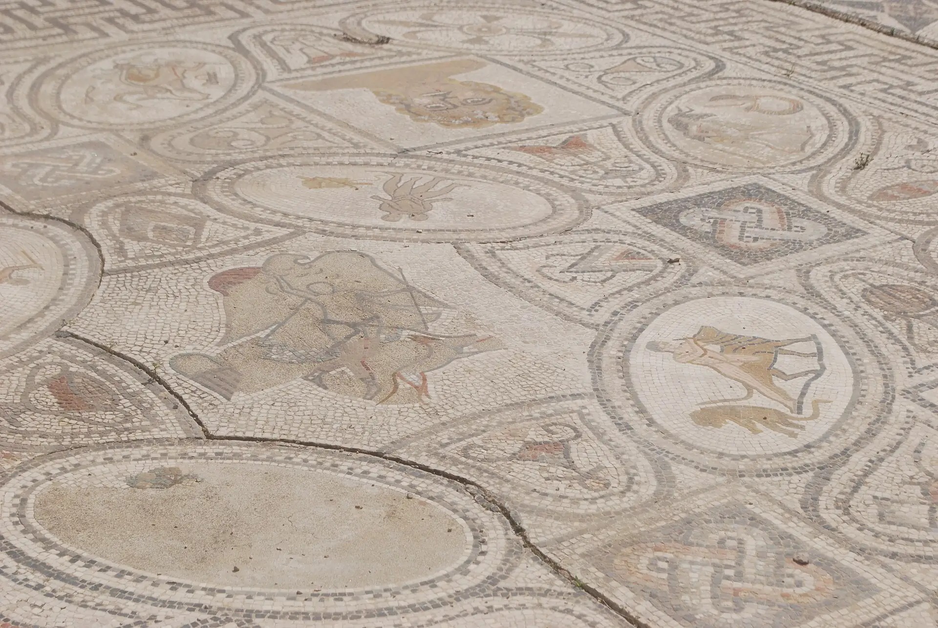 Partially restored Roman mosaic floor in one of the townhouses at Volubilis, Morocco