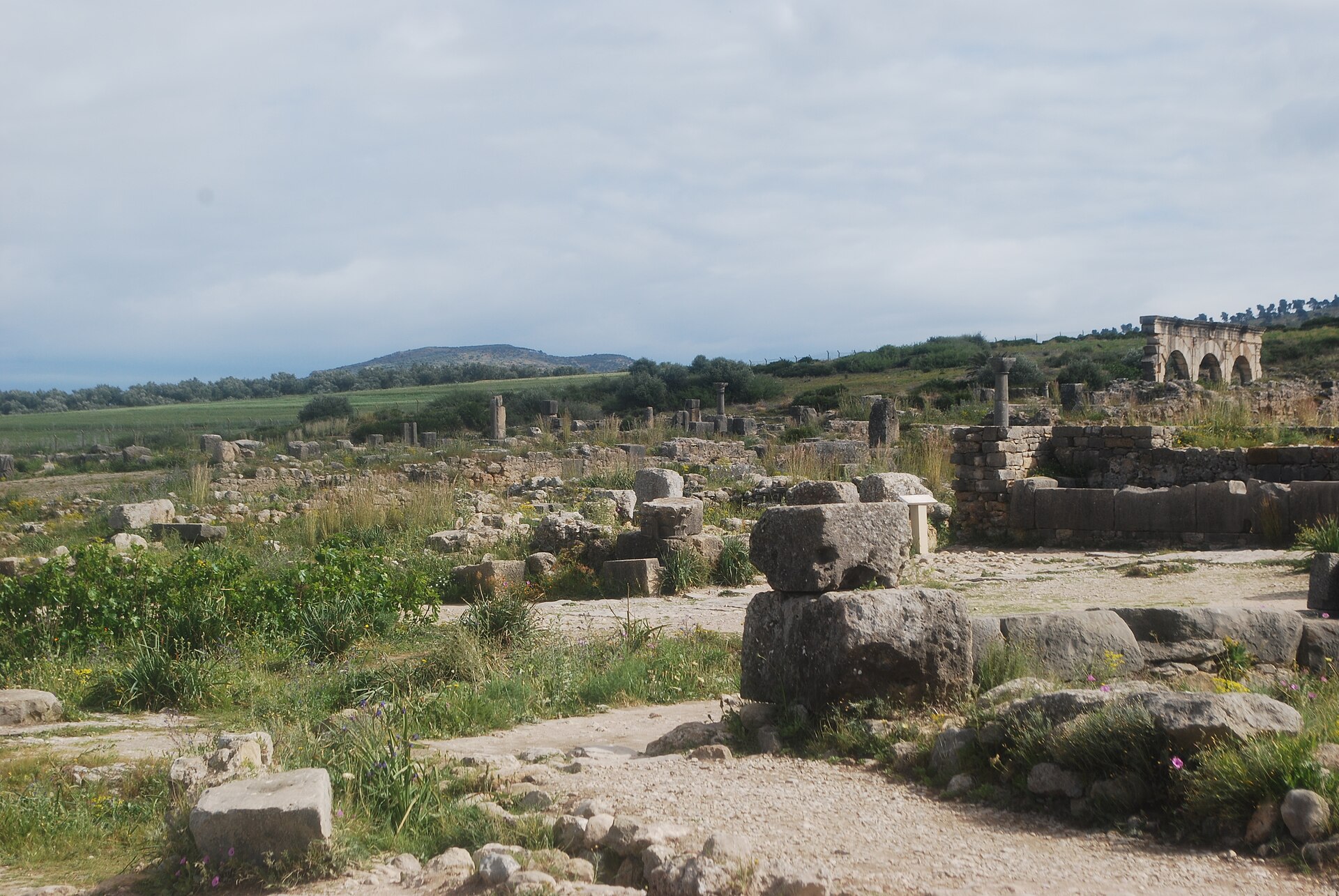 Panoramic view across the Roman ruins of Volubilis towards the Moroccan countryside