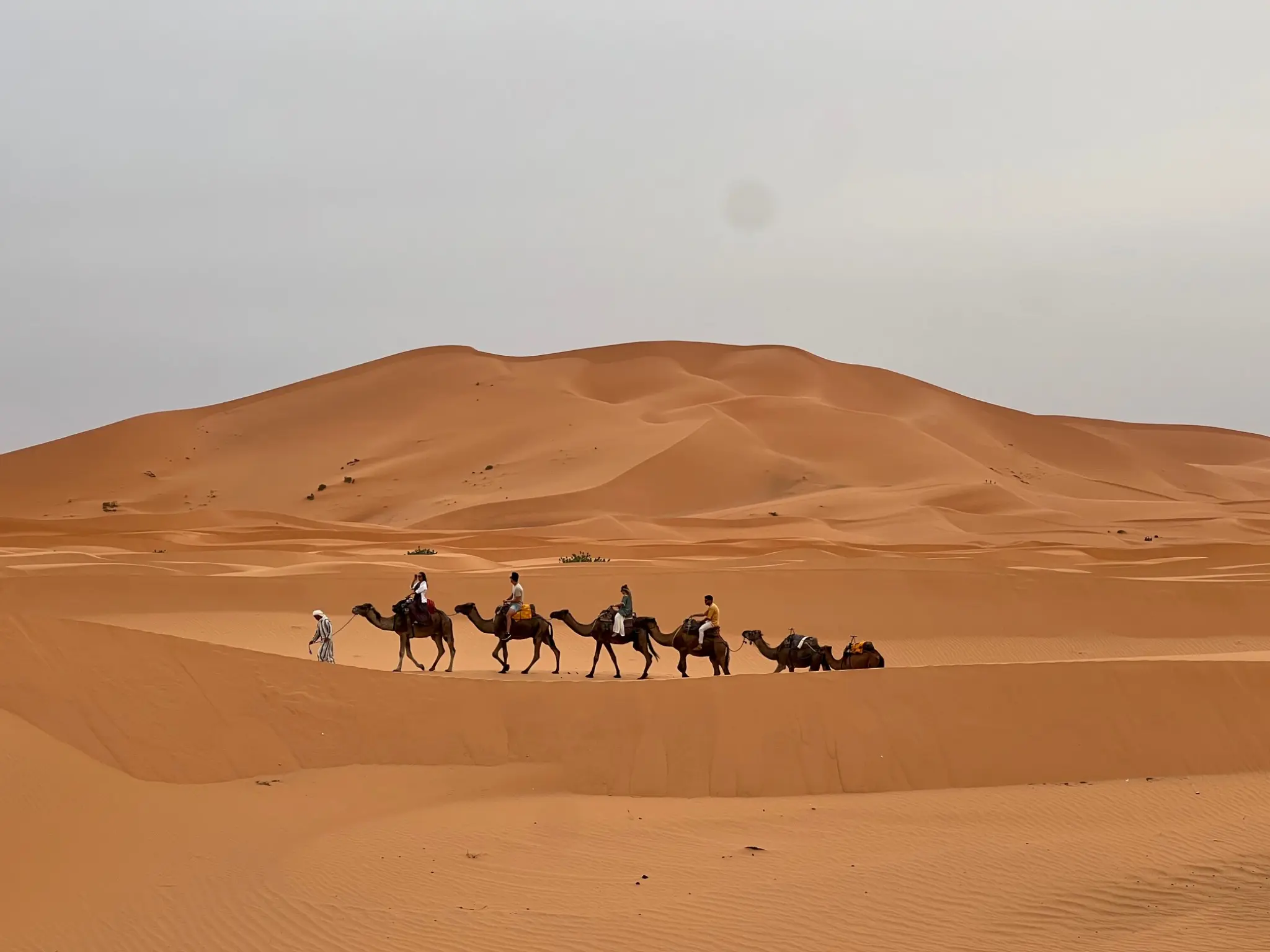 Camel caravan crossing the dunes of Erg Chebbi near Merzouga