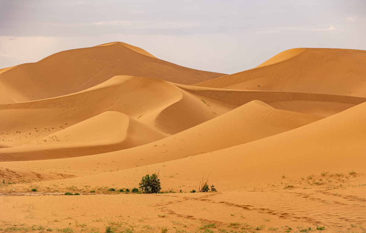 A fourteen-day journey through Morocco's cities desert and coast